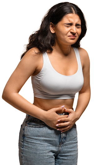 Gut Reset Program